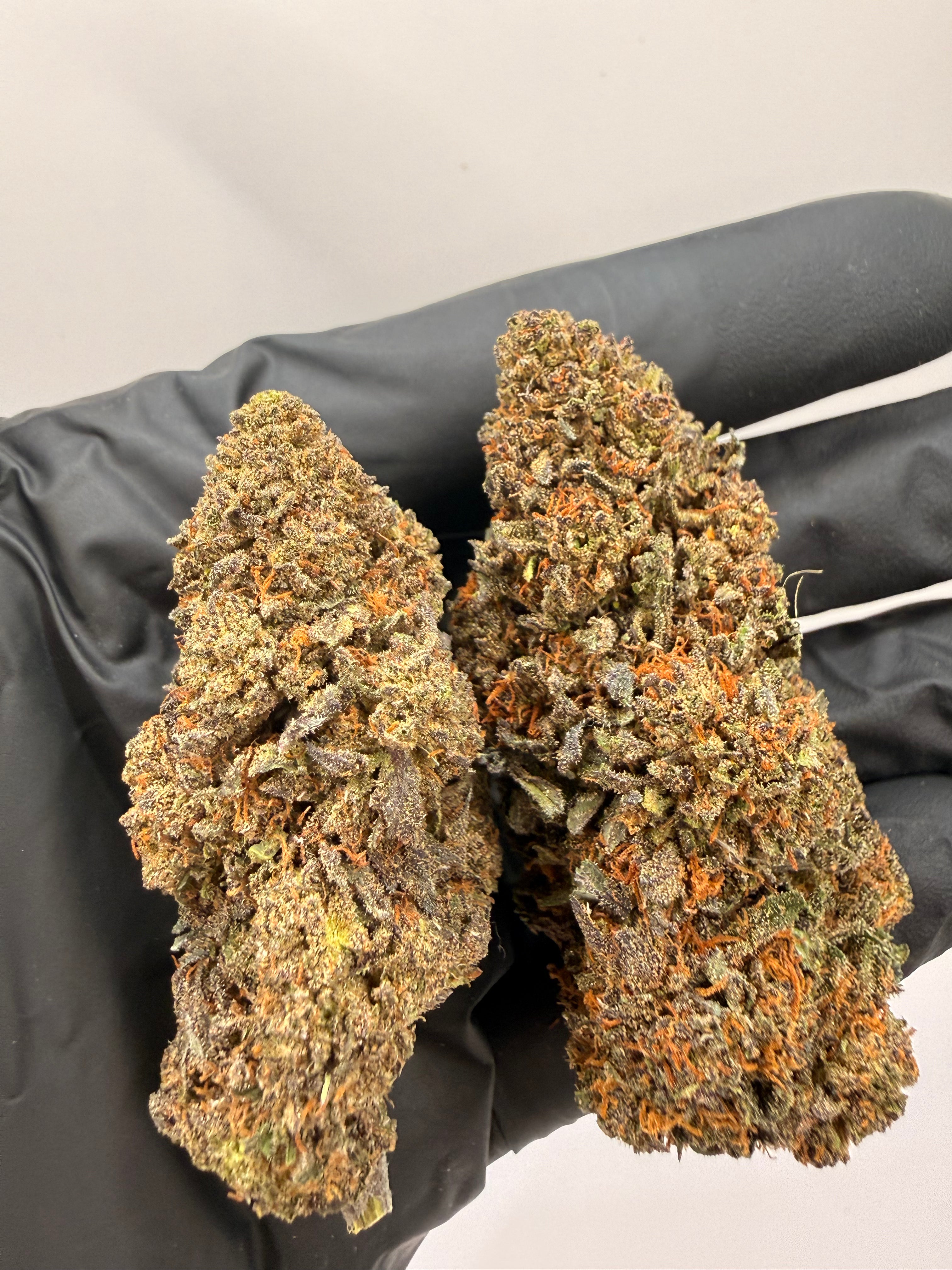 A++ Blue Zushi CBD Flower