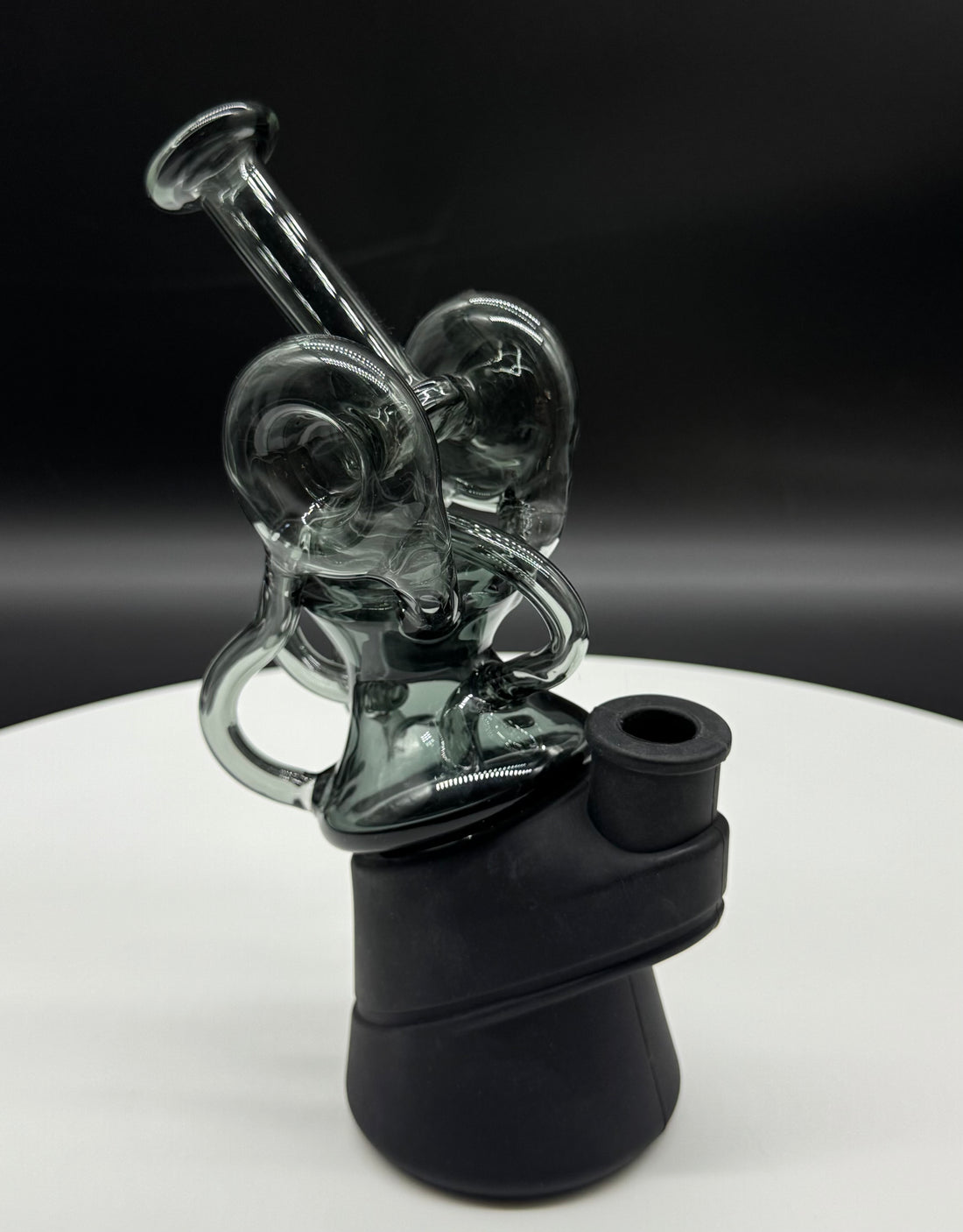 Recycler Black Swan