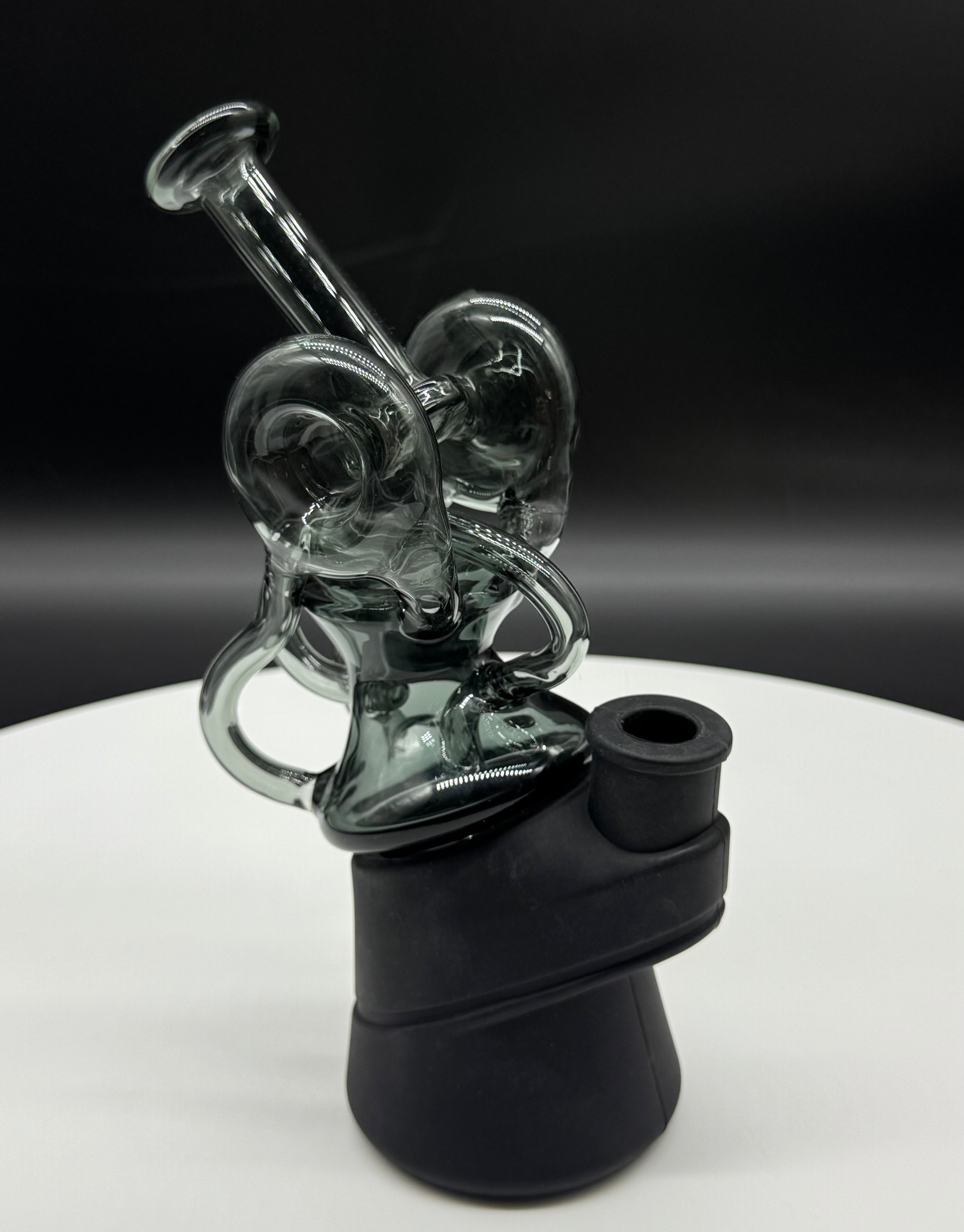 Recycler Black Swan