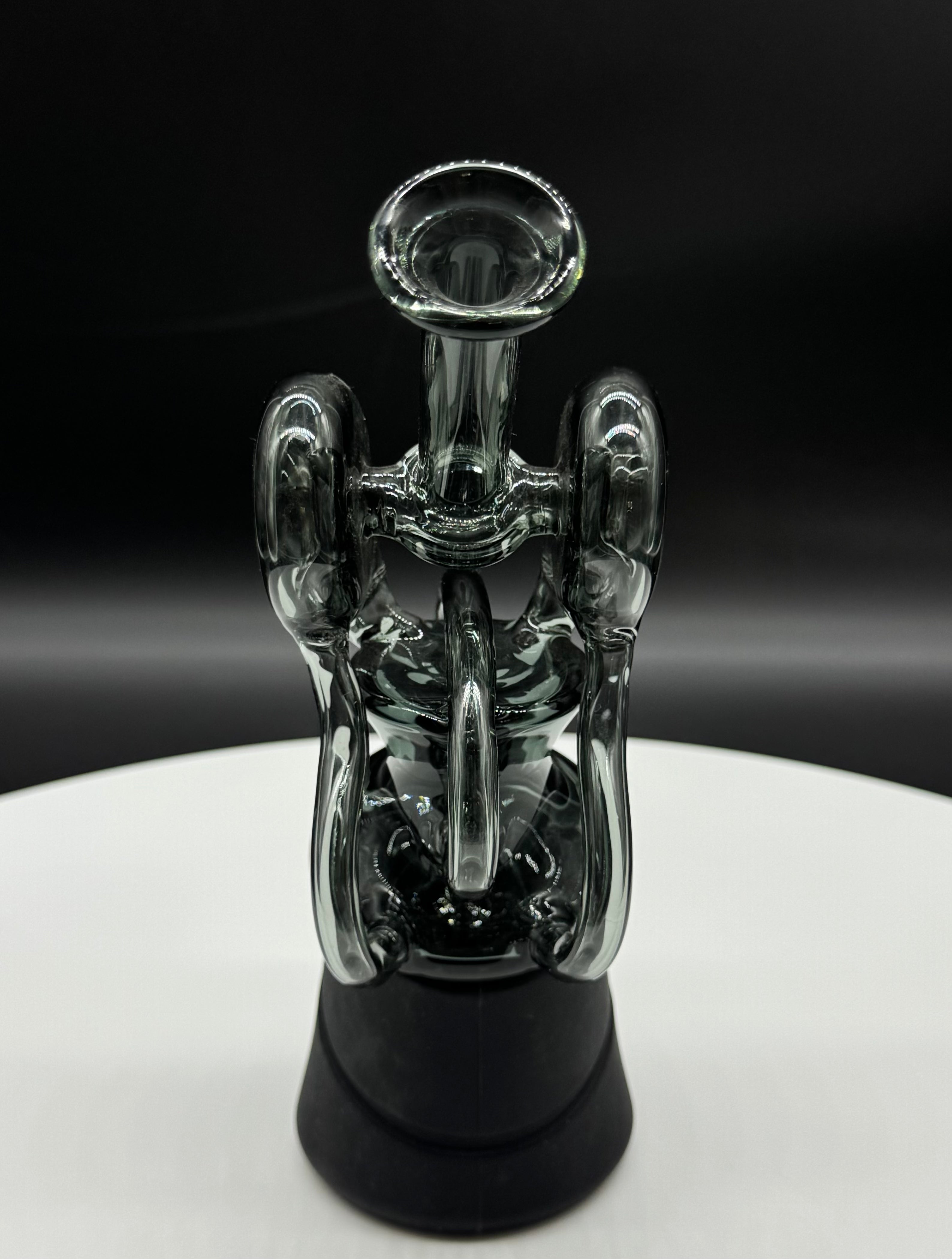 Recycler Black Swan