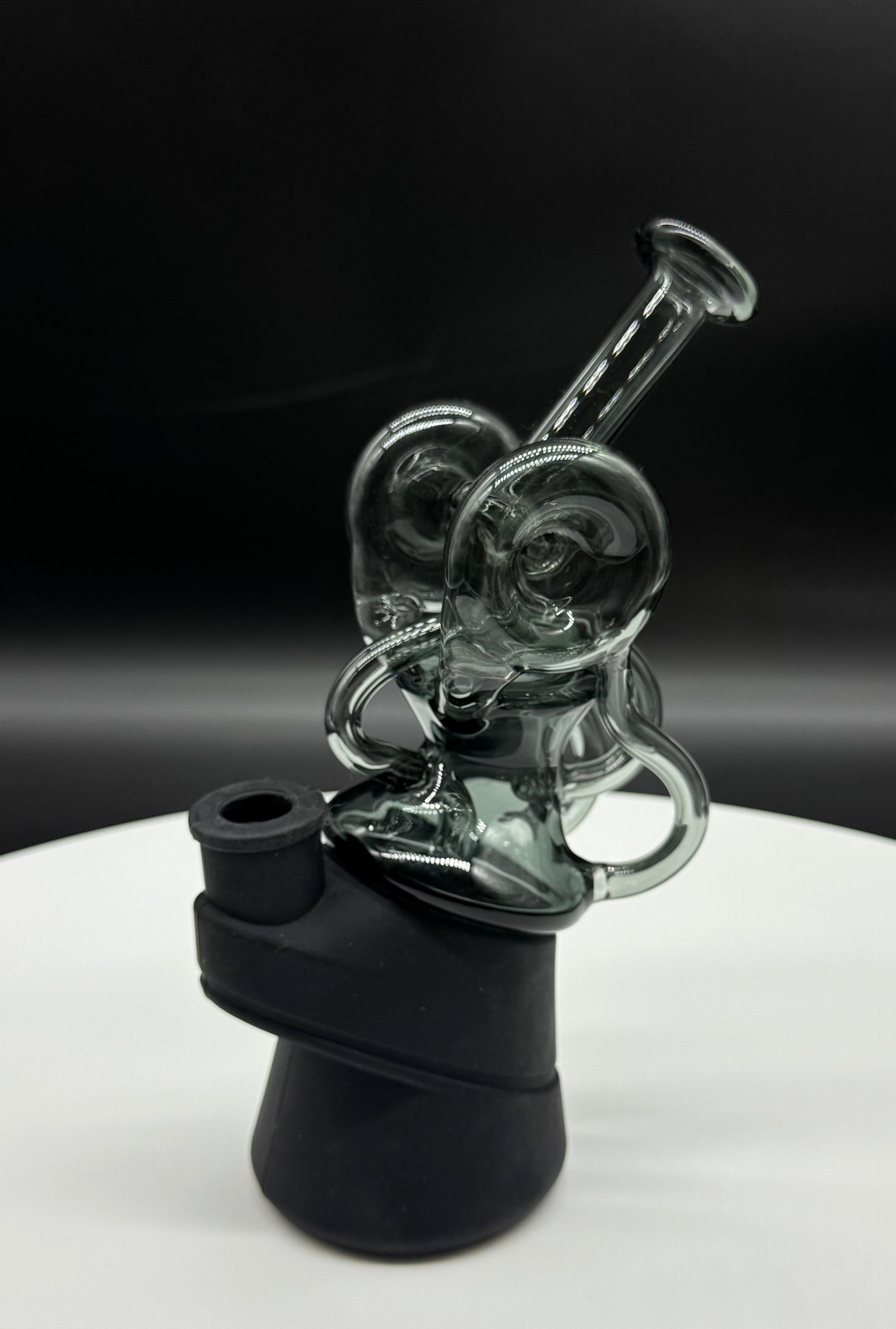 Recycler Black Swan