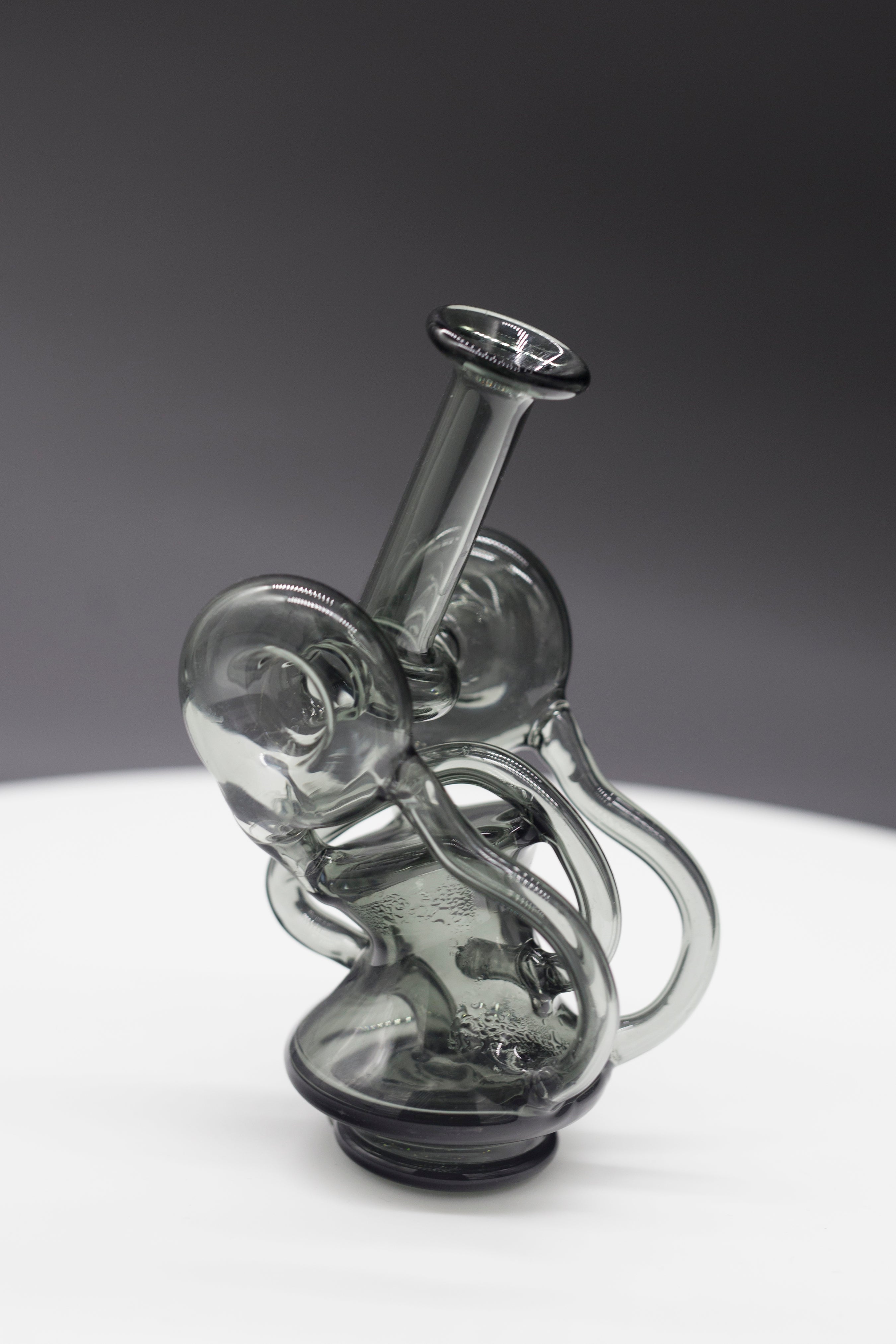 Recycler Black Swan