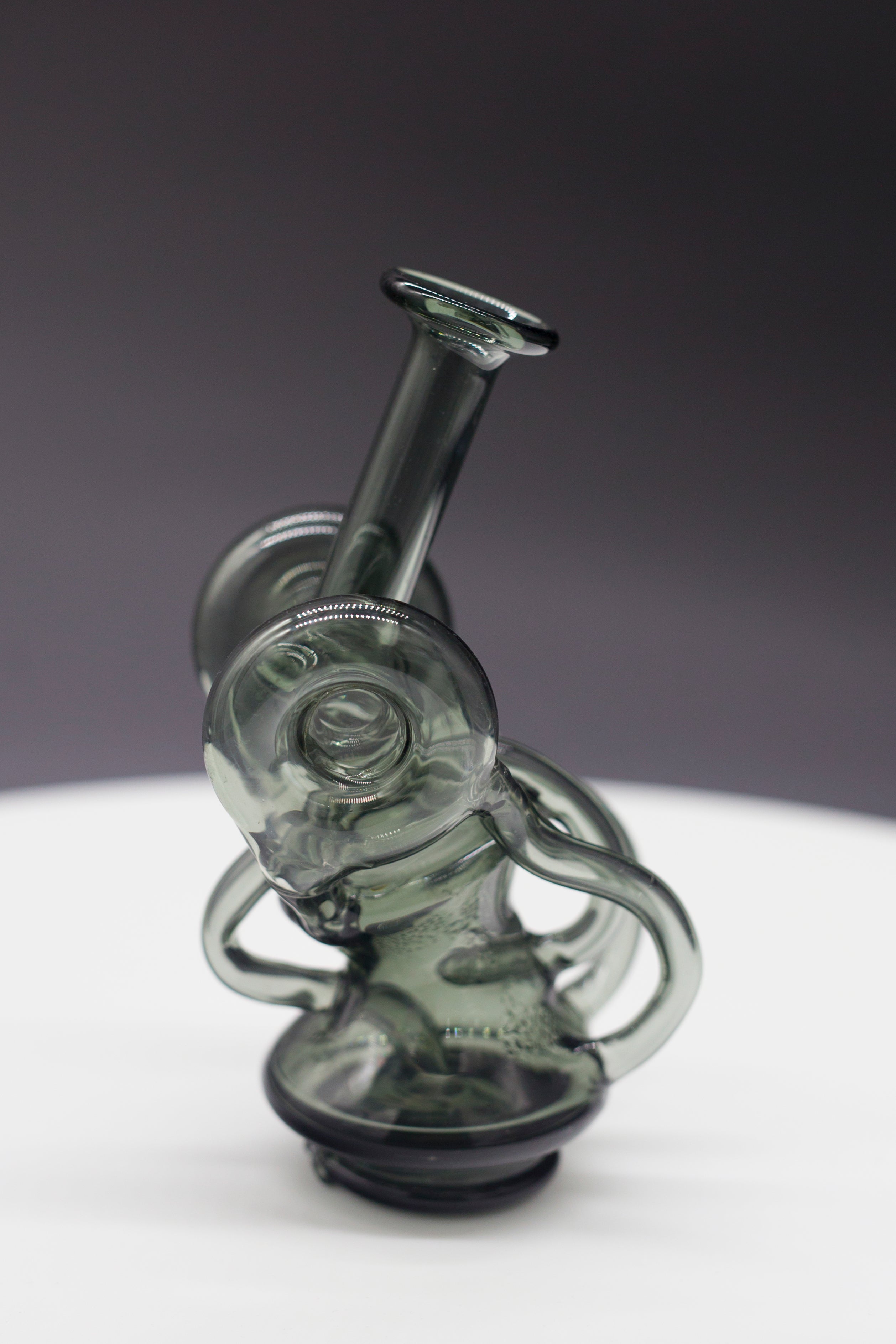 Recycler Black Swan