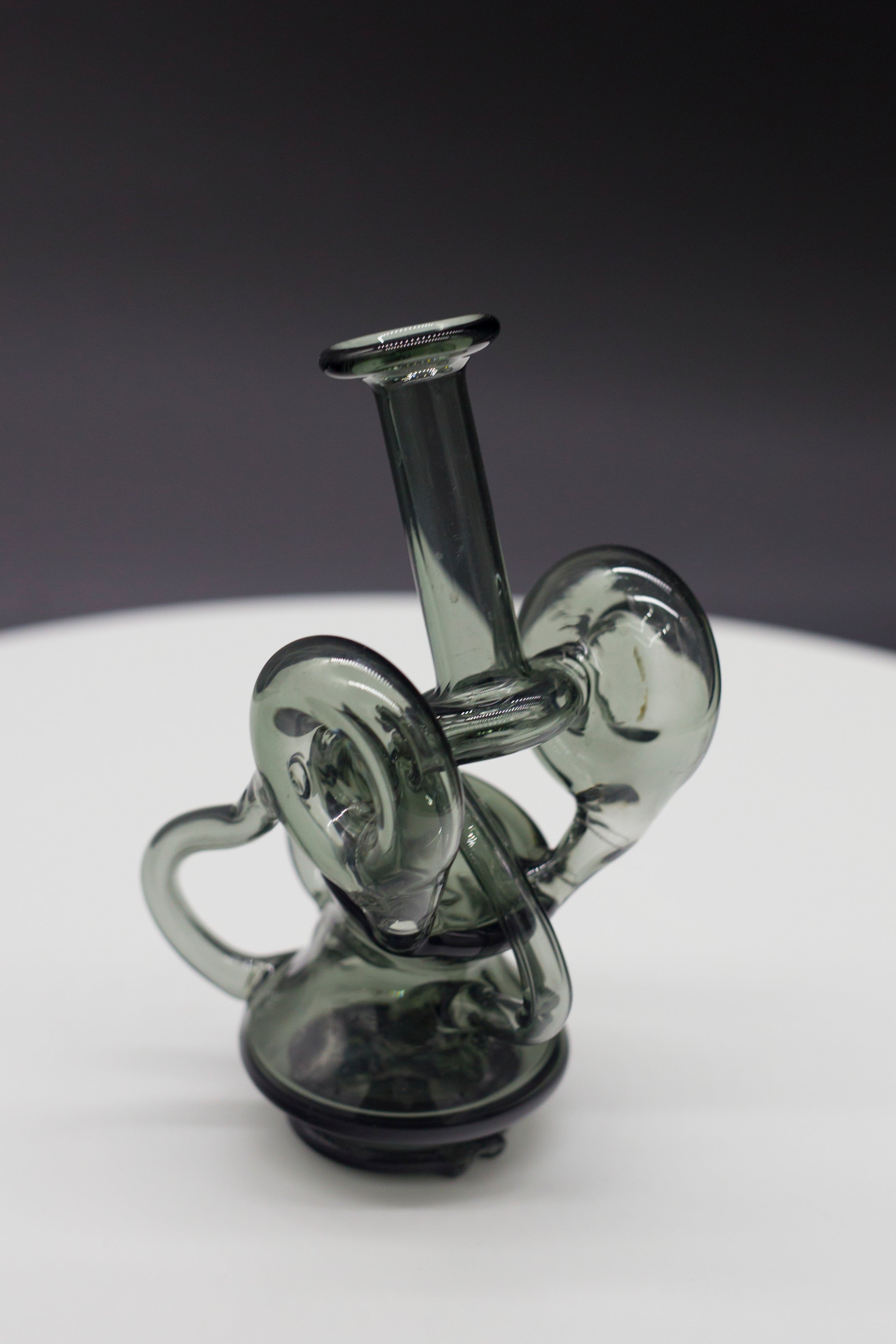 Recycler Black Swan