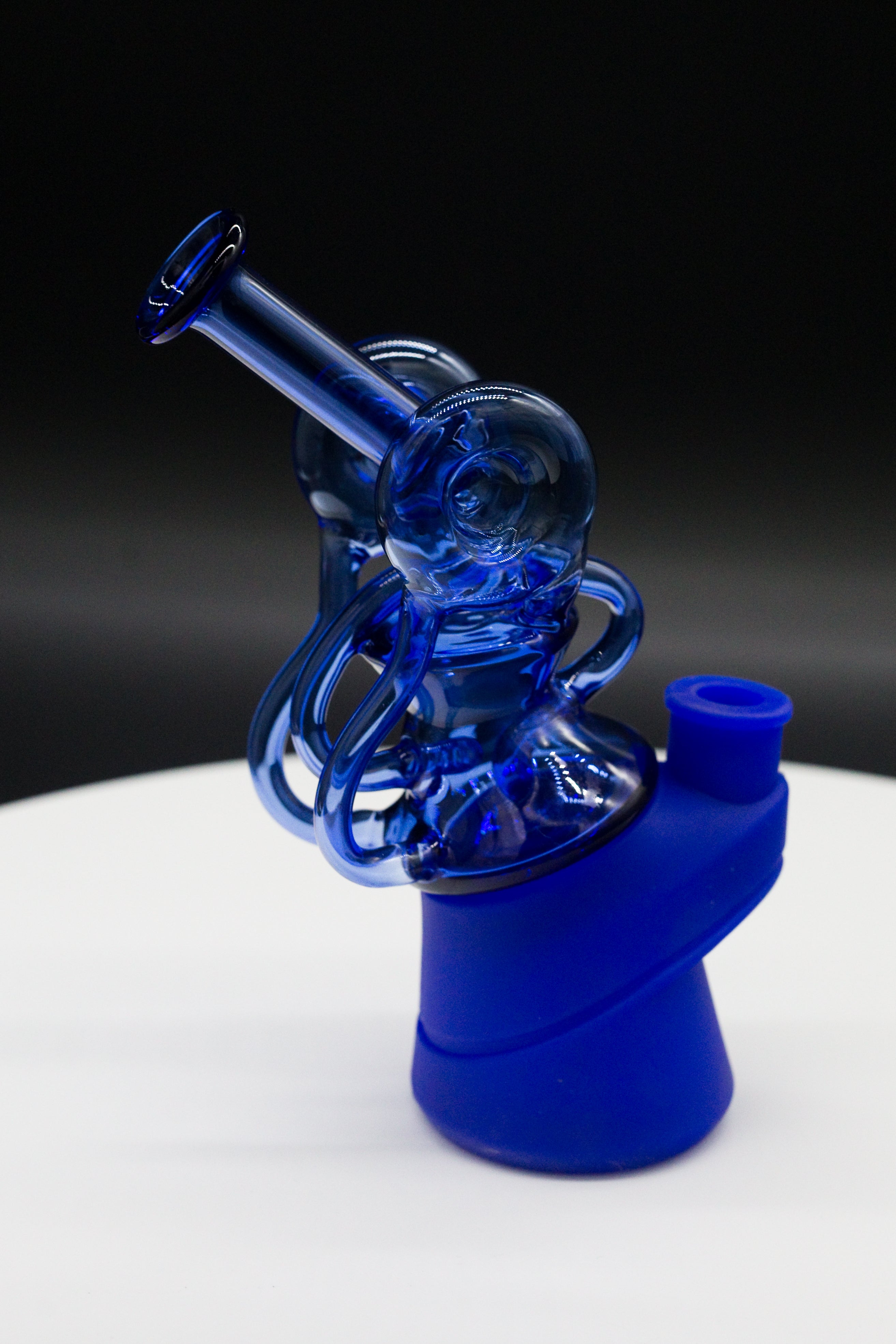 Recycler Black Swan