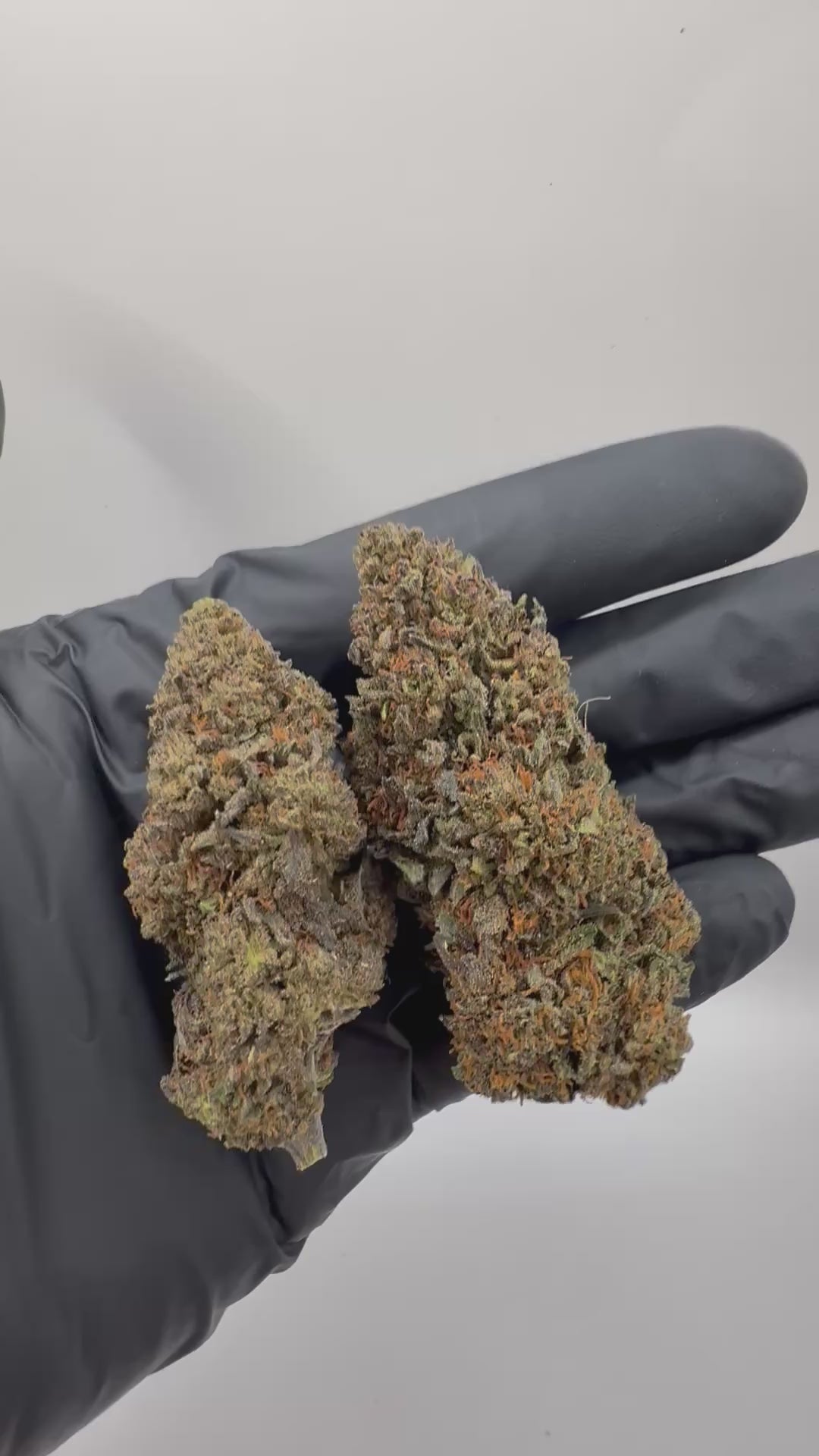A++ Blue Zushi CBD Flower